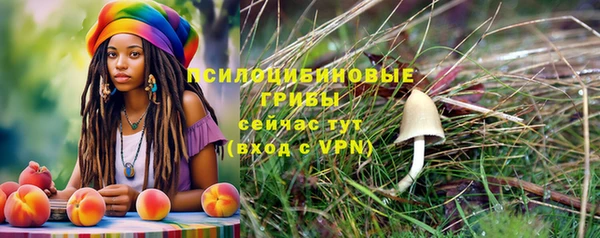 круглые Каменногорск