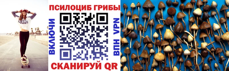 Псилоцибиновые грибы Magic Shrooms  Купить  Моздок 